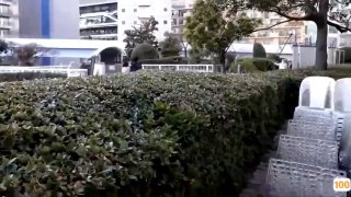 清纯美眉吃鸡啪啪 小贫乳 小粉穴 淫水超多都拉丝了 被多姿势输出 拔吊狂射 像天女散花满天飞